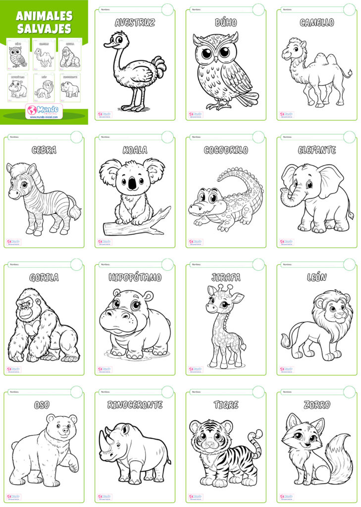 Coloreo Animales Salvajes