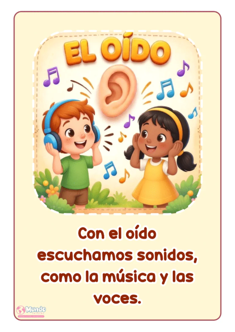 los-cinco-sentidos-material-educativo-para-imprimir-06